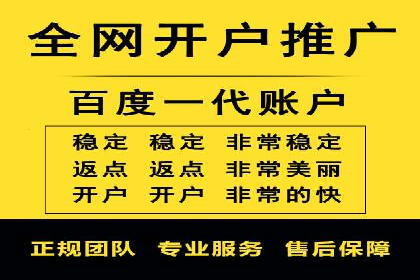 百度推广与SEO结合的营销策略案例分享
